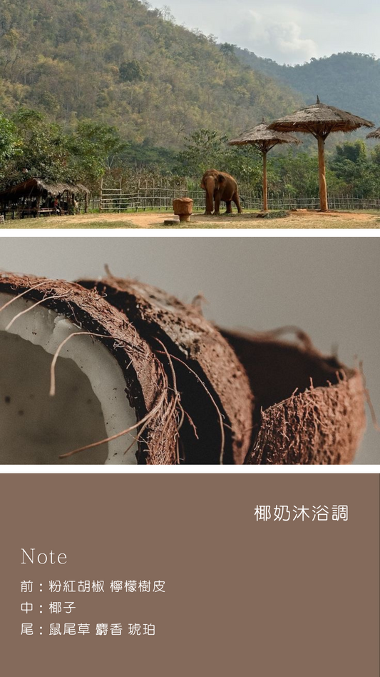 清邁植物圖鑑 Plant Diary